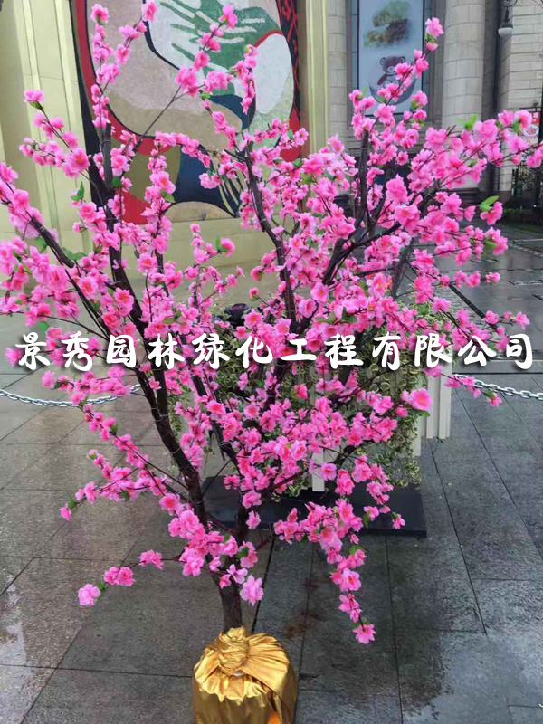 紅梅