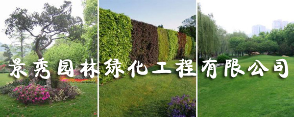 景觀(guān)設計